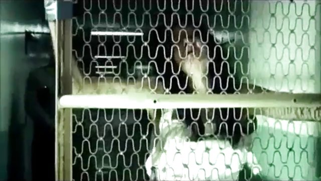 بهترین پورنو هیچ ثبت نام آن را بررسی کنید، پورن روسیه ما، معرفی سایت سکسی hd جولیا در نقش اصلی